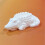 Silicone Mold For Alligator Shape Candle Cup Crafts Decorative 4