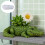 Pot de fleurs créatif en forme d'alligator, moule en Silicone 7
