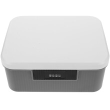 Abschließbare Aufbewahrungsbox aus ABS, 26 x 21 x 10,5 cm, Dunkelgrau