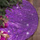 Sciorta Crann Nollag Veilbhit Sequin Corcra 60cm 1