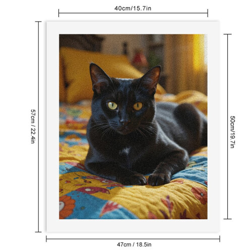 Malesæt efter tal til voksne – Sort kat-quiltdesign 1