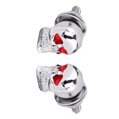 Motorcycle License Plate Mounting Hardware Skull Style-Silver 2