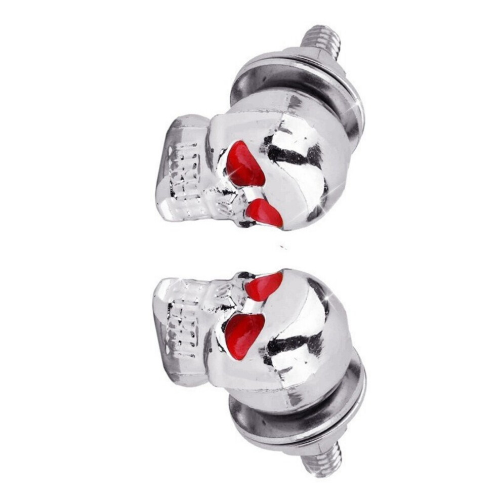 Motorcycle License Plate Mounting Hardware Skull Style- 2 Silver 7751001379833