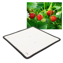 Quantum Board 1000W Luz de cultivo 30.5x30.5x3cmRojoAzul
