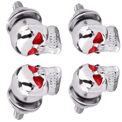 Decorative License Plate Screws Fastener With 3D Skull-Silver 4