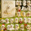 Adventskalender met Maltezer puppy's (24 dagen) 2
