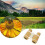 Kids Binoculars 4x30 Lightweight Durable Multiple Colors 6