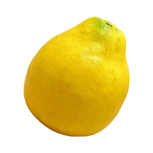 Yellow Grapefruit Highly Detailed Pomelo Fruit Decoration For