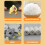 Interactive Reward Molar Toy for Puppies Teeth-fighting chicken 5