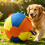 Extra großer, kausicherer Hundeball, aufblasbarer-M 5