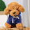 Pluche hondje, zacht, 20 cm groot, knuffeldier 3