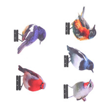5 radiantly Colored Metal Bird Ornaments For-Single sided color
