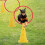 Set of 4 Pet Agility Exercise 1