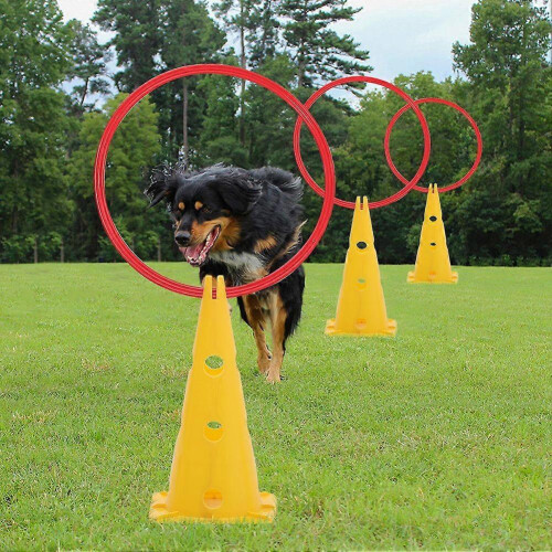 Set of 4 Pet Agility Exercise 1