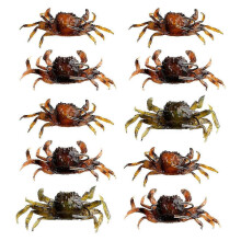10PCS of a 3D simulation and an artificial, and a sea-fishing Crab and a bait, and a lure, and a trap with a sharp hook.