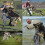 Arm Protection Dog Bite Sleeve Durable Jute Training Pit Bull German Shepherd 5