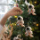 Astronaut Acrylic Christmas Ornament, Beige, 8 cm 2