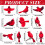 Red Cardinal Ornaments, 10-Piece Acrylic Flat Hanging Set 3