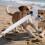 Dog Break Stick Dog Bite Training Stick for Schutzhund Backyard Pitbull 3