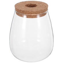 Contenant Hydroponique Transparent Bouchon Bois