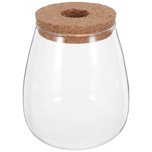 Contenant Hydroponique Transparent Bouchon Bois