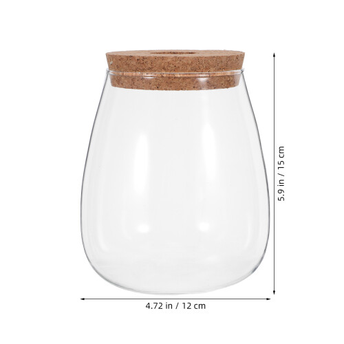 Contenant Hydroponique Transparent Bouchon Bois 1