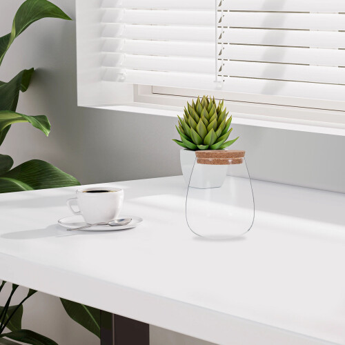 Contenant Hydroponique Transparent Bouchon Bois 2