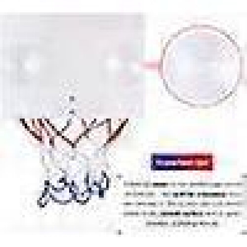 Interactive Training Pet Games, Mini Basketball Hoop for Indoor Fun, Easy Setup with Suction Cups for Any Smooth Surface 2