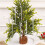 Christmas Icicle Ornaments Set – ABS, Clear, 12 pcs, Type 3