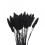 Fleurs séchées de queue de lapin (50 pièces) 1