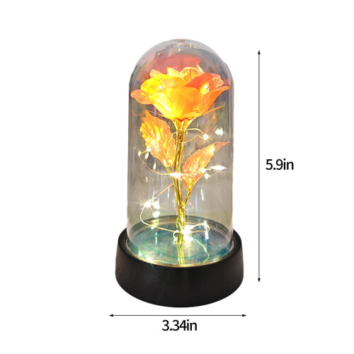 Rose Galaxy préservée sous dôme de verre avec éclairage LED 2
