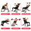 Folding Weight Bench Adjustable Home Gym 300KG 9