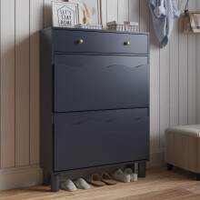 Blue Shoe Cabinet Storage