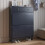 Blue Shoe Cabinet Storage 1
