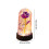 Eternal Rose in Glass Dome with LED Lights 1pc 3