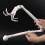 Advanced Left or Right Upper-Upper limb bones. right side 4