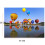 RRSCC 500-Piece Jigsaw Puzzle for Adults 4