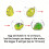 Colorful Dinosaur Eggs Hatching Cards Accessories for Gift-A 12 5