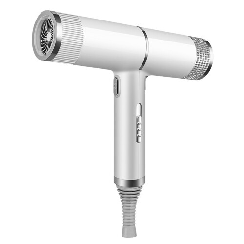 Professional Hair Dryer Fast Drying Ionic Hairdryer with Diffuser Home 1