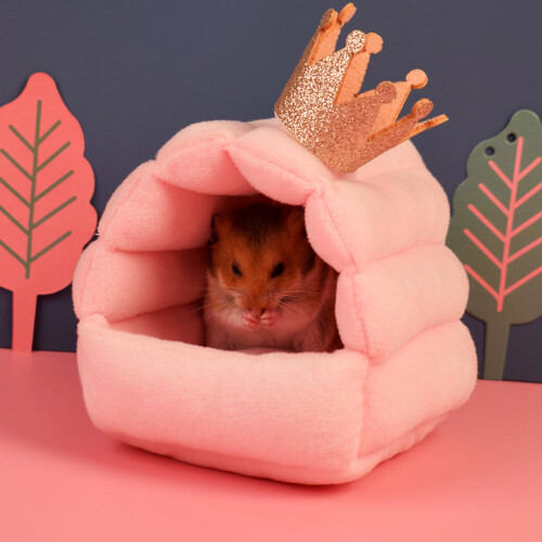 Nid douillet et chaud pour hamster 2