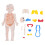 3D menselijk lichaam orgel assemblage puzzel educatief speelgoed 4