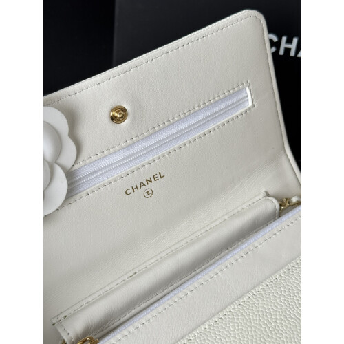 Chanel WOC Mixed Leather Flap 6809 2