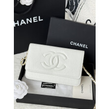 Chanel WOC Mixed Leather Flap 6809