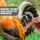 10er-Packung Rupfstäbchen für Huhn, Ente und Gans 4