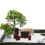 Mini Stone Step Resin Rockery Ornament 1pc 3