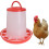 Comedero automático de plástico para pollos de 1,5 kg 4