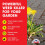 Doff Doff Lawn Weedkiller RTU 1L Ready Spray 2