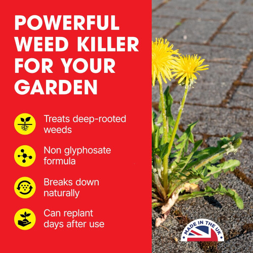 Doff Doff Lawn Weedkiller RTU 1L Ready Spray 1