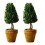 Artificial Succulents Plant Simulation Succulents Small-2  1 1