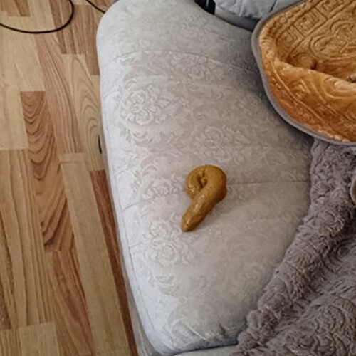 Falsk lort legetøj svamp prank rekvisit 11 cm 1
